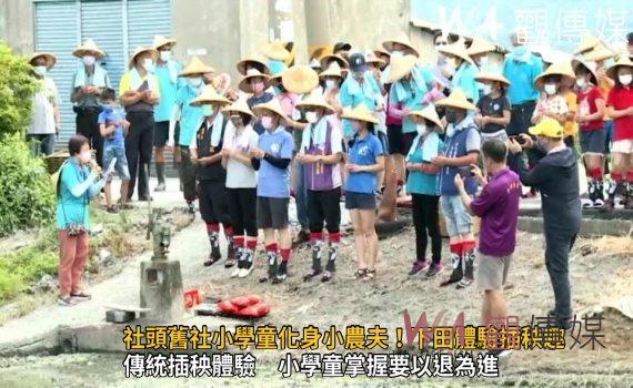 影/水牛精神!社頭舊社小學童化身小農夫!下田體驗插秧趣