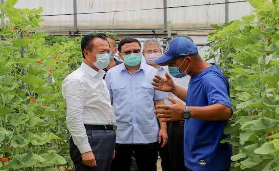 翁章梁體恤農民辛勤血本 警組專案迅速偵破美濃瓜竊案