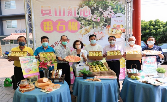 宜蘭員山鄉紅心芭樂上市 縣長林姿妙:香甜軟Q!