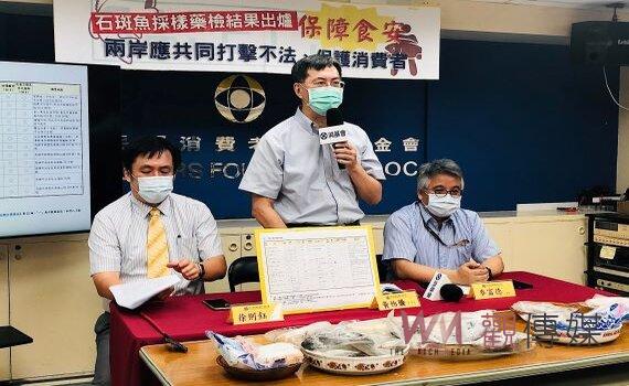 石斑魚採樣藥檢出爐無檢出禁藥 消基會:兩岸應共同打擊不法保護消費者