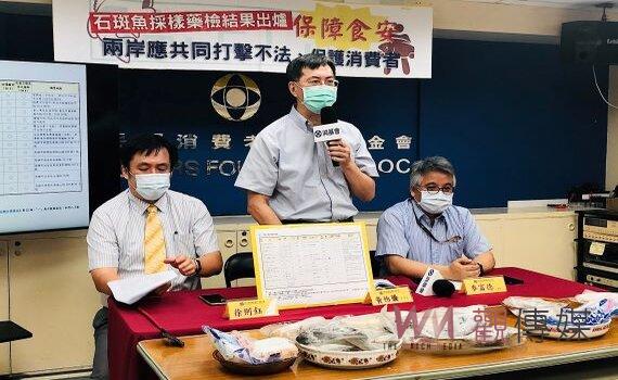 石斑魚採樣藥檢出爐無檢出禁藥 消基會：兩岸應共同打擊不法保護消費者 