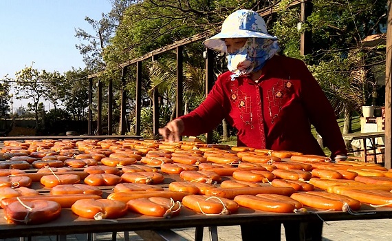 打造城市綠帶 美麗黃金海岸線 新竹縣邀您來作客觀光