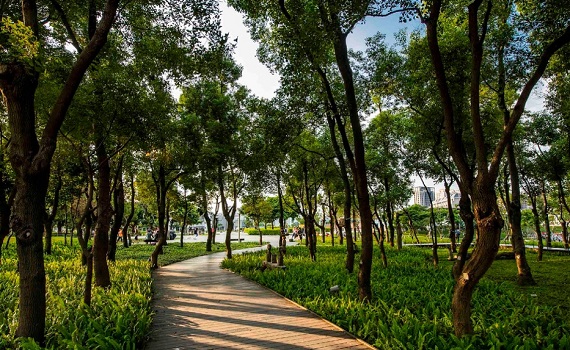 風禾公園旁 稀有雙併光合宅