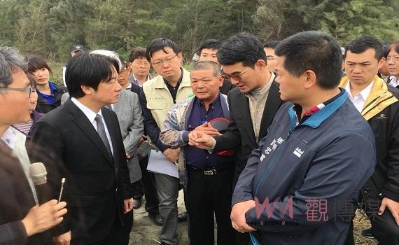 濁水溪百年揚塵治理有成 用甜根子草搖曳取代風飛沙