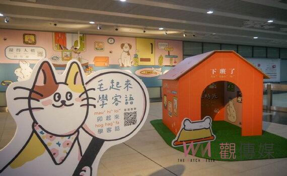 「毛牯毛妹个下班時光」展覽 今桃園捷運A21環北站登場
