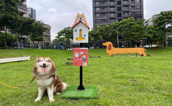 響應世界動物日　新北大搜「柴」行動 拍照上傳抽iPhone 14 