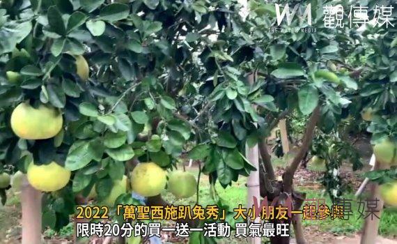 影/西施「柚」在花壇 2022「萬聖西施趴兔秀」大小朋友一起參與