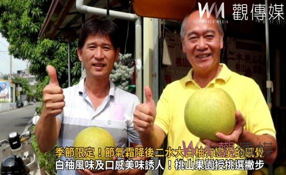 影/季節限定!內行人品白柚 節氣霜降後二水大白柚有戀愛的感覺