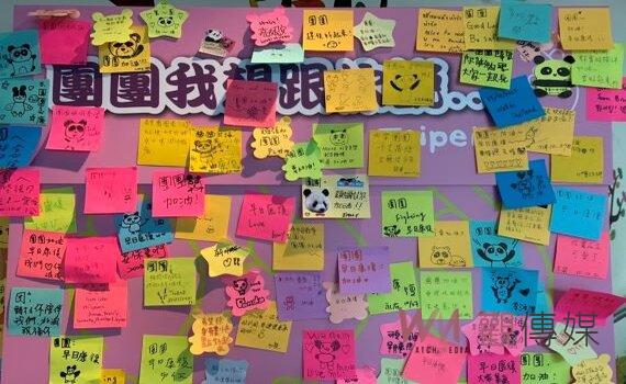 北市動物園大貓熊「團團」健康不佳 市府邀您祈福集氣