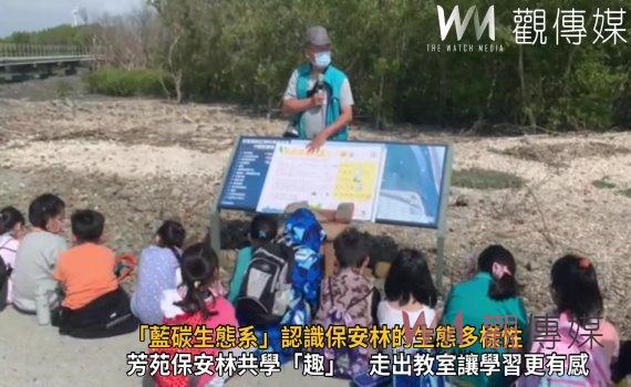 影/共學保安林!「藍碳生態系」認識保安林的生態多樣性