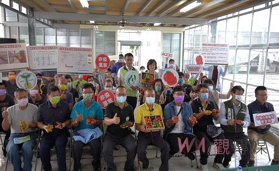 影/打造小果番茄外銷「國家隊」 設20公頃非疫點溫室栽培專區
