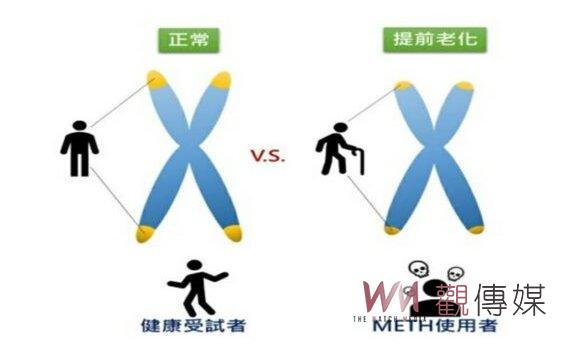 國衛院研究證實 使用甲基安非他命會提早老化