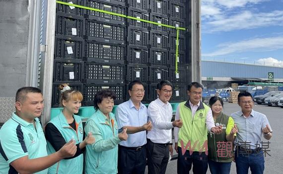 蔬果新容器環保又省錢 新式摺疊籃解決農民困難
