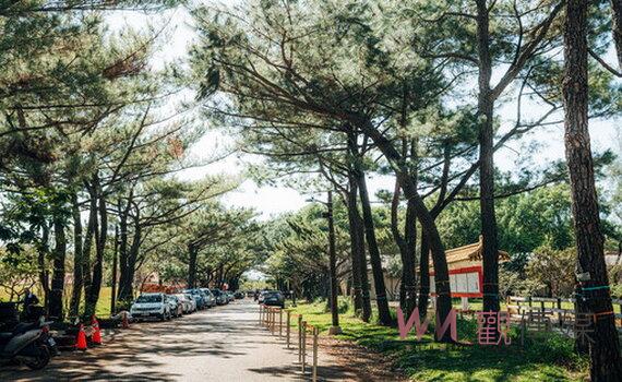 桃園市府爭取中央補助興建大湳森林公園停車場 交通部允諾補助