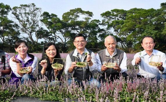 2022桃園仙草花節盛大開幕 以展區為杯花田為茶花海中曼妙共舞