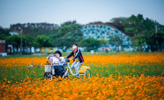 嘉義花海生活節 12月10、11日玉山路底重磅登場