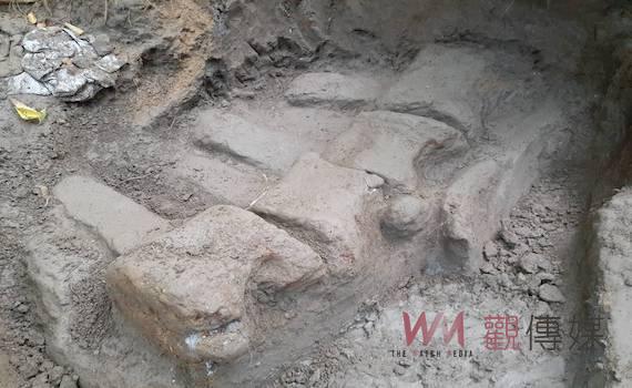 「鯨」奇！台灣史上最完整鯨魚化石     現蹤屏東恆春 
