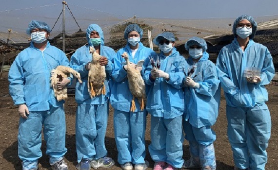 嘉義縣全面啟動冬季家禽流行性感冒監測防堵疫情 