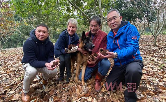  環境永續減碳愛地球  國際扶輪助宜蘭四季南山推廣松露種植 