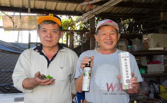 印加果油不用買進口 大村鄉農友汪士展自己栽種健康榨油