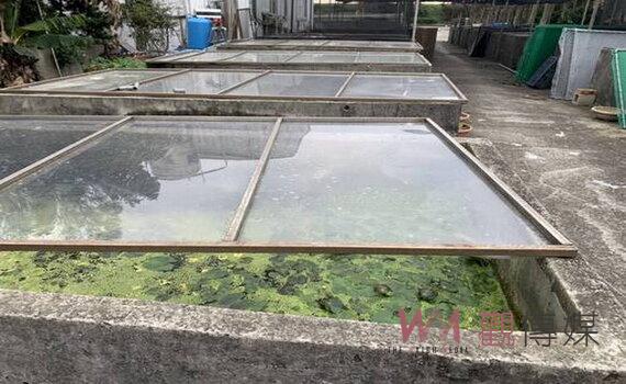 桃園低溫籠罩 市府監控農漁業遲發性災害續開街友避寒所