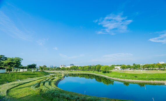 年節野餐踏青首選 台中中央公園歡迎民眾賞樹賞花