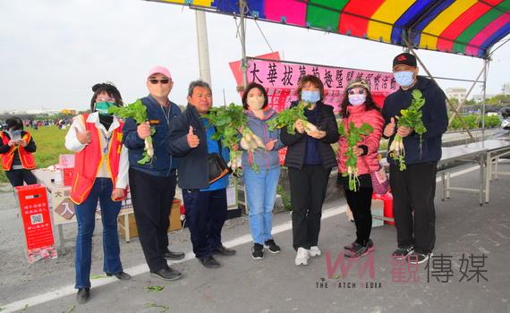 10度低溫下的拔蘿蔔  埔心鄉大華社區活動讓親子體驗農忙苦 
