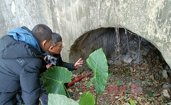獨家/高雄柴壽山發現僅存「土灰磘」 遺址曝光文史界感興喜