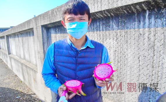 田中青農謝富坤勇於創新 火龍果搖身一變成為高質感雙色情人果