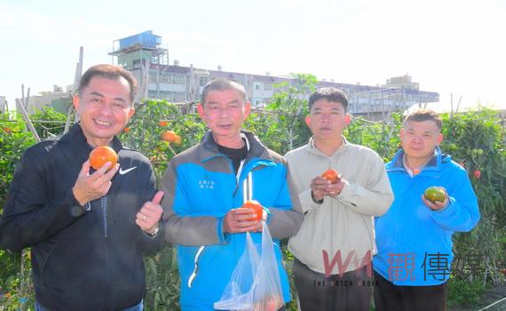 大村鄉公所計畫推出農業發展單位 在地蔬果優鮮行銷全國