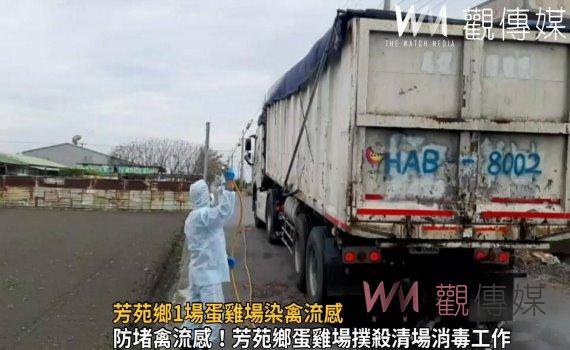 影/芳苑鄉1場蛋雞場染禽流感 動防所撲殺2萬3709隻蛋雞