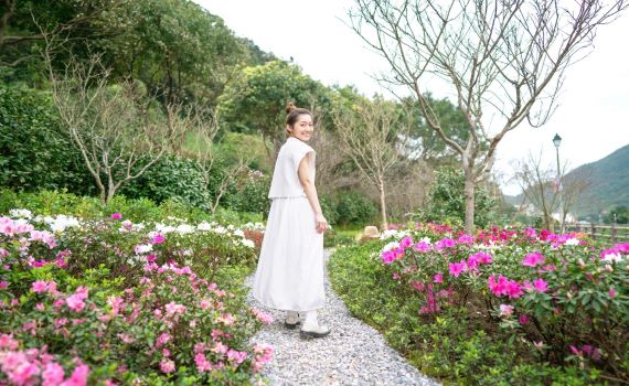 2023萬金杜鵑移動花聚落2月25日絕美開展