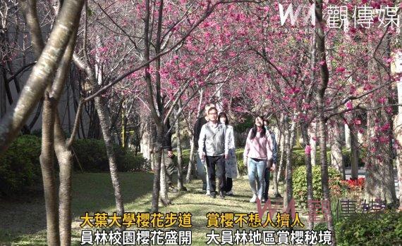 影/彰化賞櫻祕境加1!大葉大學櫻花步道 賞櫻不想人擠人