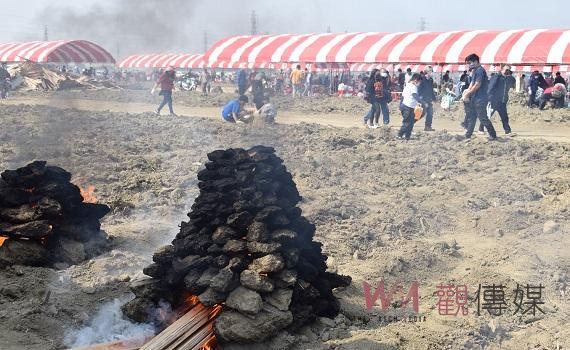 回味農村時光 水林番薯文化節「旺兔薯地.兒食憶」熱鬧登場