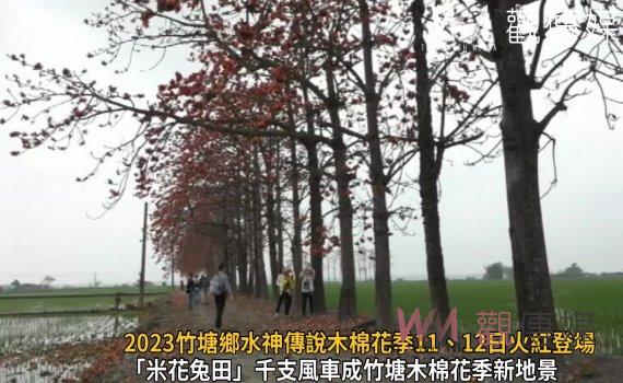 影/2023竹塘鄉水神傳說木棉花季11、12日火紅登場!