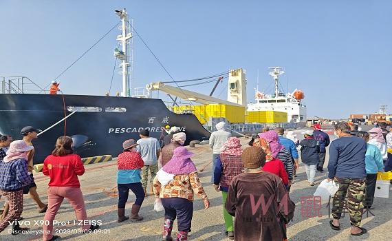 疫情趨緩離島海運需求大 慧洋藍俊昇為澎湖打造縮短航程、快速裝卸貨的百威輪 