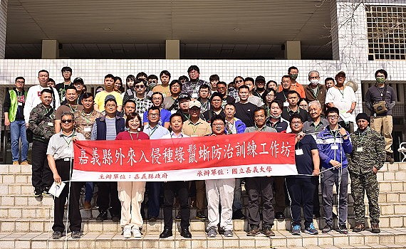 綠鬣蜥侵擾臺灣生態　嘉大培訓全臺首支合法移除大隊