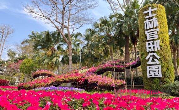花in台北驚現彩色大地花毯 7萬盆花卉美爆士林官邸