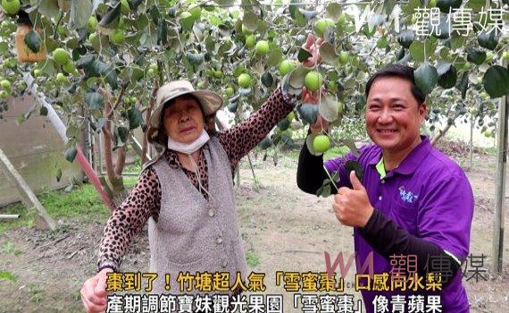 影/棗到了!竹塘超人氣「雪蜜棗」口感向水梨