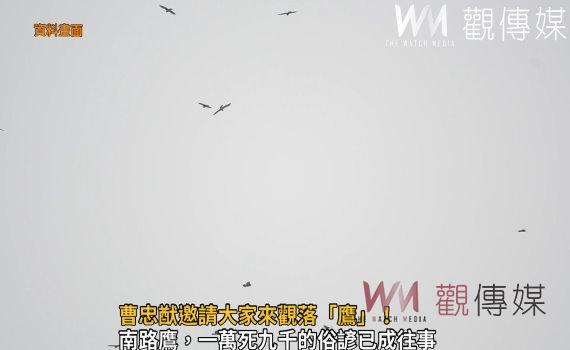 影/鷹群過境!參山處長曹忠猷邀請大家來觀落「鷹」!