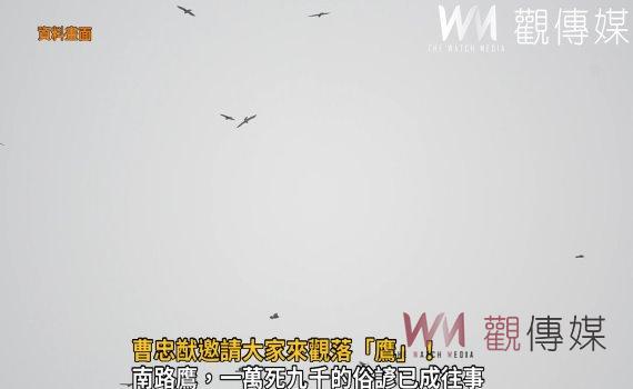 影／鷹群過境！參山處長曹忠猷邀請大家來觀落「鷹」！ 