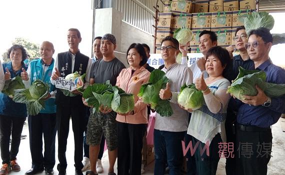 高麗菜盛產 雲縣府媒合團膳業者採購穩定產銷