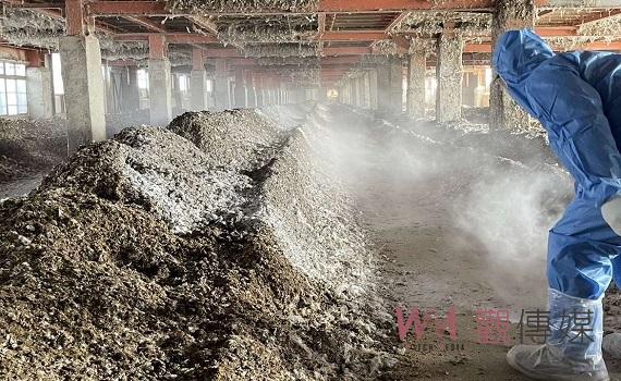 雲林全面防範禽流感 各蛋雞場全面撒布生石灰