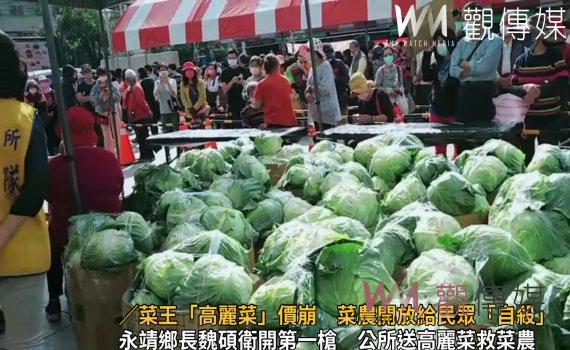 影/菜王「高麗菜」價崩 菜農開放給民眾「自殺」每粒只要10元