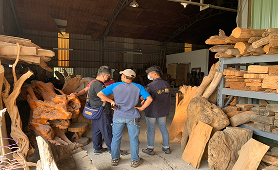 保七查緝山老鼠 竊木集團認栽搜出8.5公噸珍貴漂流木 