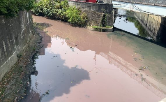 肉品市場及染整廠排廢水染紅新莊潭底溝 新北環保局開罰