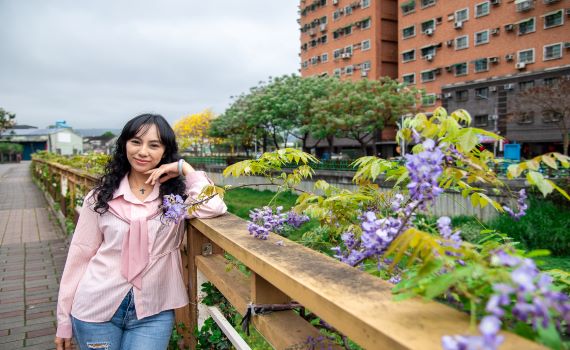 蘆洲鴨母港溝紫藤花爭豔綻放 春遊賞花好去處