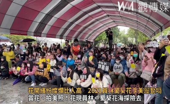 影/花中巨人!花開繽紛燦爛比人高 2023員林蜀葵花季美麗登場