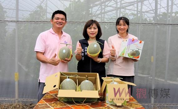 番路迎來瓜界精品 農會將開群組開賣極光哈蜜瓜