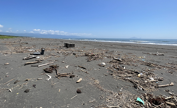 杜蘇芮颱風外圍環流可能帶來漂流木 宜縣府籲海灘暫停自由徒手撿拾 